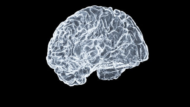 The Physiology of the Perfect Morning: Why We Need a Cognitive Anchor